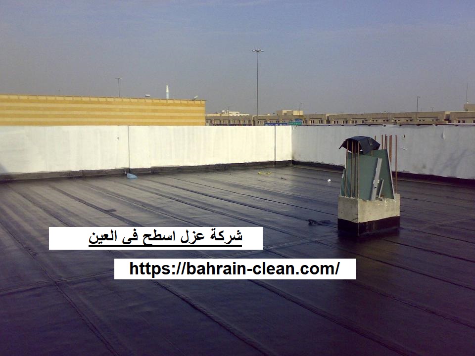 شركة عزل اسطح في العين